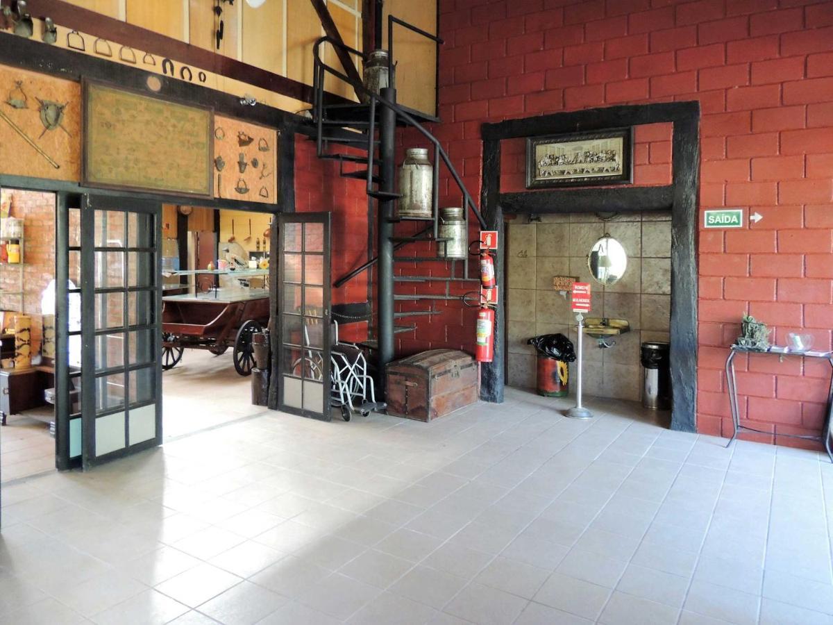 Juriti - Eco Sao Roque (Sao Paulo)