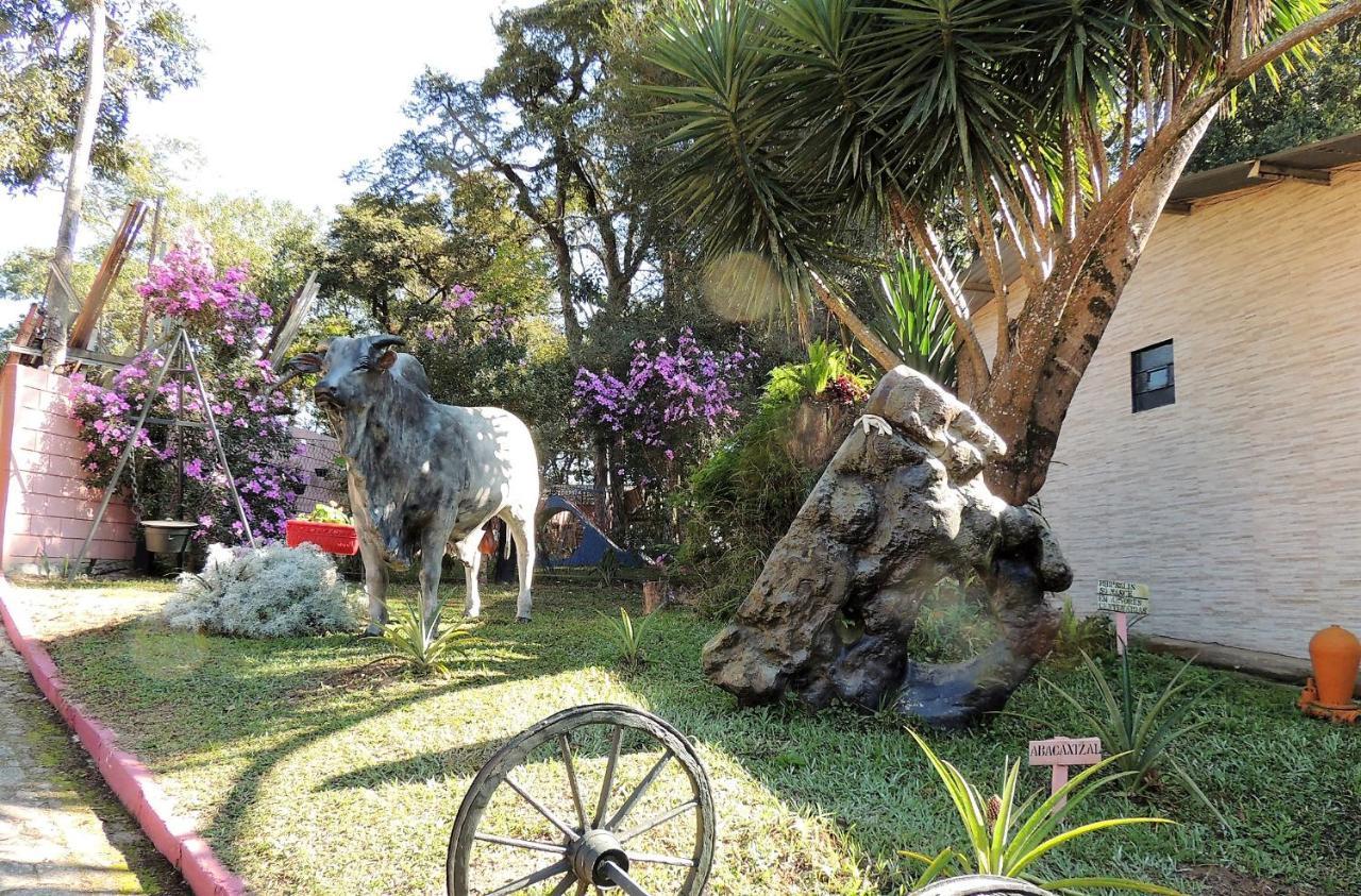 Juriti - Eco Hotel