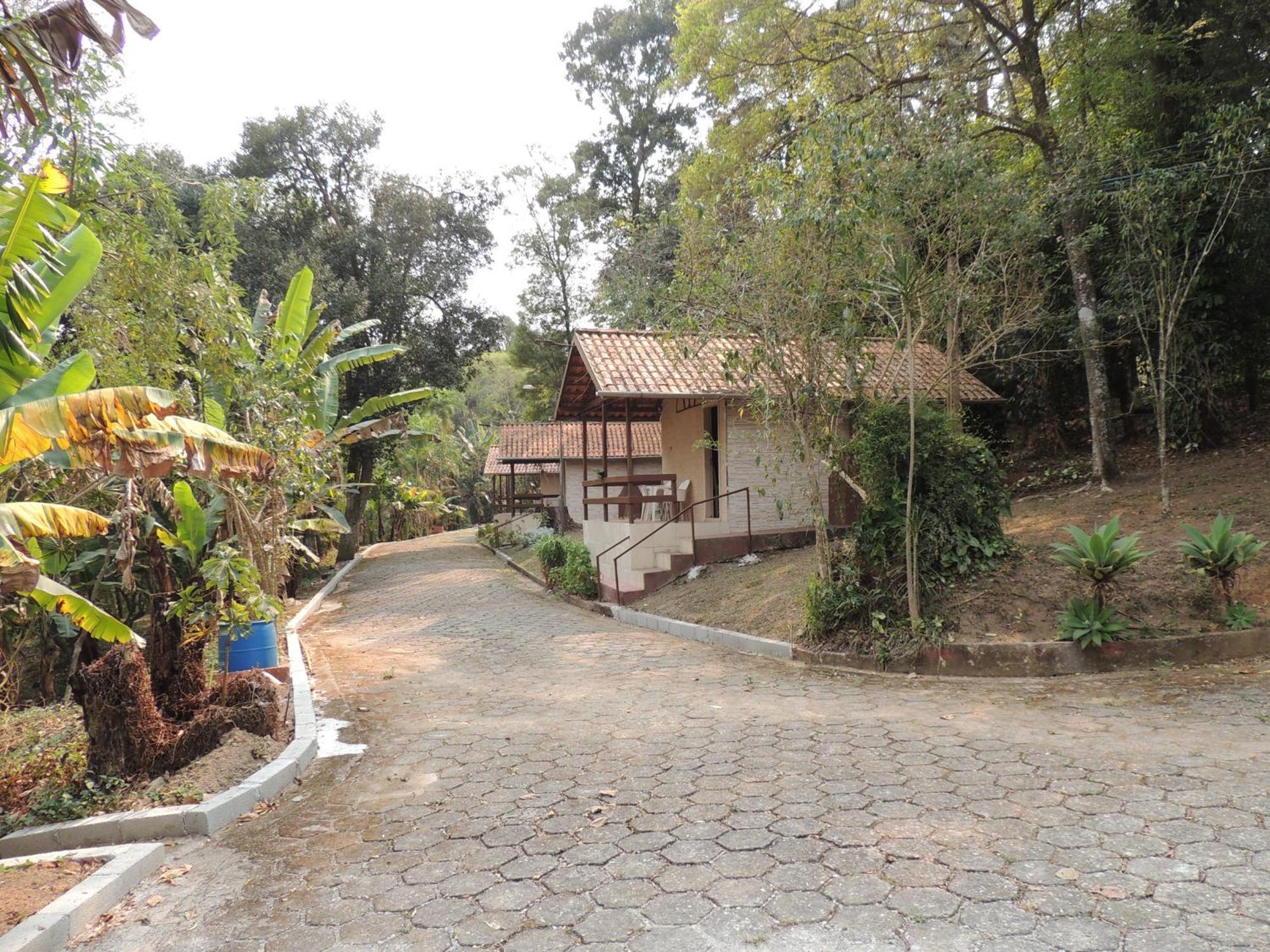 Juriti - Eco